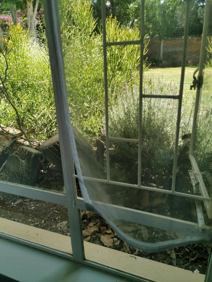 Stew S Room Polokwane Exterior photo