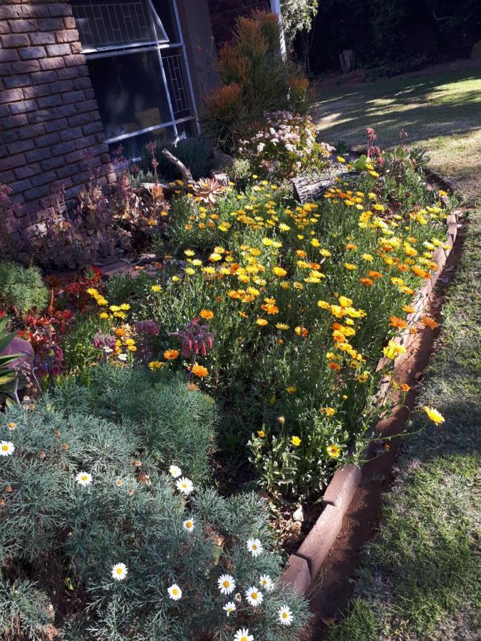Stew S Room Polokwane Exterior photo